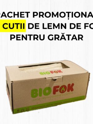 Pachet promoțional - 10 cutii de lemn de foc pentru GRĂTAR